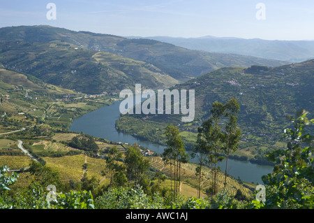 Portugal, the Douro valley, the Douro River and vineyards Near Peso da Regua Stock Photo
