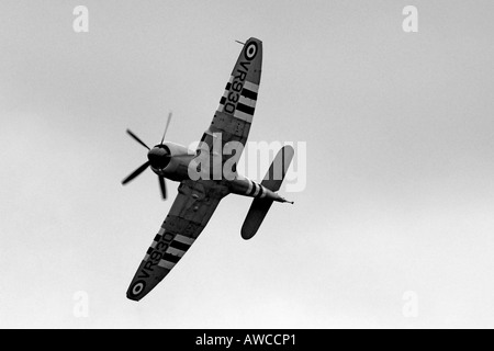 Korean War Veteran the Hawker Sea Fury Stock Photo