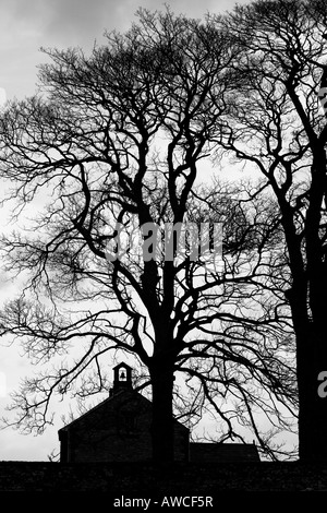 Waitby school and oak tree silhouette. Cumbria. UK Stock Photo