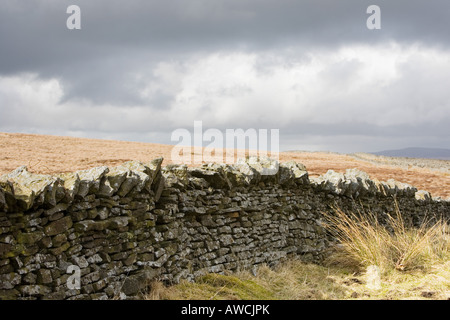 Dry stone wall in the Yorkshire moors. England Stock Photo