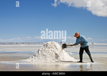 Salt worker makes Salt accumulation, salt lake Salar de Uyuni, Altiplano, Bolivia, South America Stock Photo