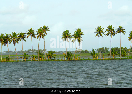 R BLOCK NEAR THE BACKWATERS OF ALLEPPEY Stock Photo