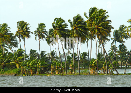 R BLOCK NEAR THE BACKWATERS OF ALLEPPEY Stock Photo