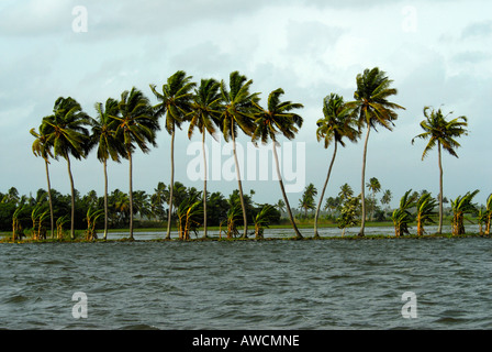 R BLOCK NEAR THE BACKWATERS OF ALLEPPEY Stock Photo