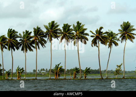 R BLOCK NEAR THE BACKWATERS OF ALLEPPEY Stock Photo