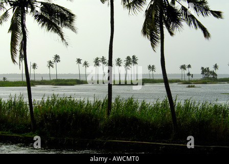 R BLOCK NEAR THE BACKWATERS OF ALLEPPEY Stock Photo