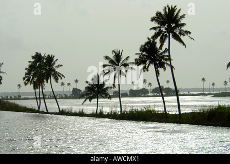 R BLOCK NEAR THE BACKWATERS OF ALLEPPEY Stock Photo