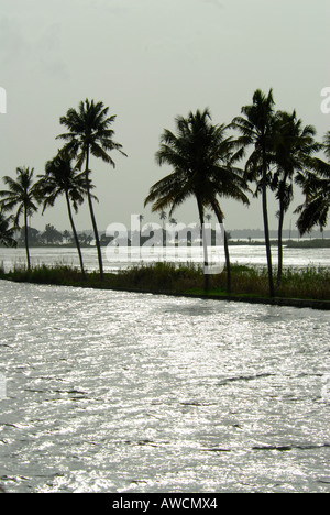 R BLOCK NEAR THE BACKWATERS OF ALLEPPEY Stock Photo