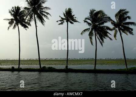 R BLOCK NEAR THE BACKWATERS OF ALLEPPEY Stock Photo