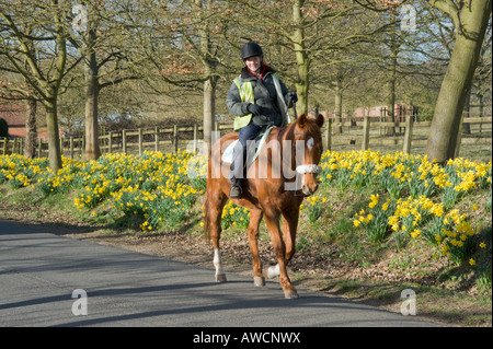 woman riding horse on road with daffodils Stock Photo