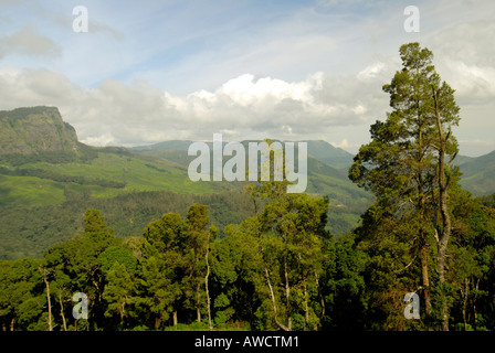 A VIEW OF THE WESTERN GHATS IN KOVILOOR MUNNAR Stock Photo