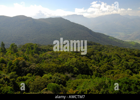 A VIEW OF THE WESTERN GHATS IN KOVILOOR MUNNAR Stock Photo