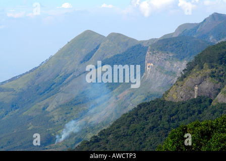 A VIEW OF THE WESTERN GHATS FROM MANNAVAN SHOLA IN KOVILOOR NEAR MUNNAR Stock Photo