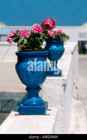 Bright blue urn shaped flower pots with pink geraniums sitting on white washed wall in Santorini, Greece Stock Photo