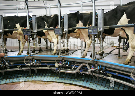 Milking installation, Baden-Wuerttemberg, Germany Stock Photo