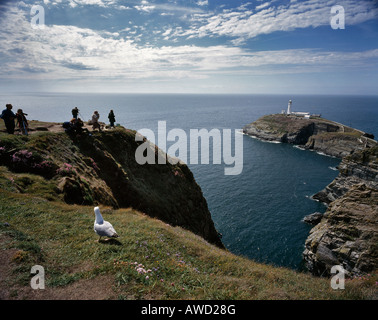 BIRD WATCHERS ON CLIFFS AT  GWYNEDD NORTH WALES Stock Photo