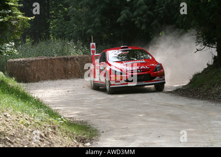2005 Peugeot 307 WRC Stock Photo
