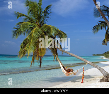 Palm tree on beach hanging over water, young couple in hammock, Maldives, Indian Ocean Stock Photo