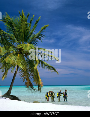 Scuba lessons in shallow water, palm tree on beach, Maldives, Indian Ocean Stock Photo