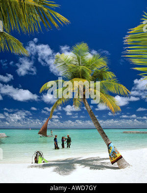 Scuba lessons in shallow water, palm trees on beach, Maldives, Indian Ocean Stock Photo