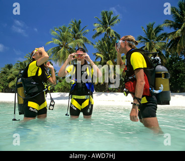 Scuba lessons in shallow water, palm trees on beach, Dhoni, Maldives, Indian Ocean Stock Photo