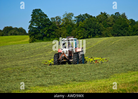 Tractor making hay on the meadows Stock Photo