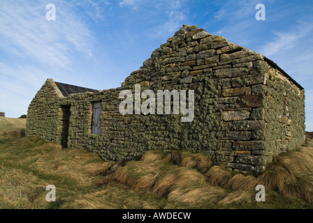 dh Breckness ORPHIR ORKNEY Lichen stone walled fishermens hut Stock Photo