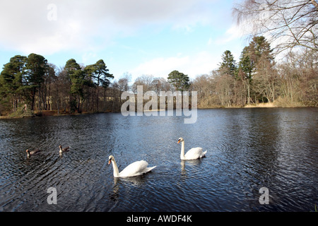 Clyn's Dam near the village of Monymusk in Aberdeenshire, Scotland, UK Stock Photo