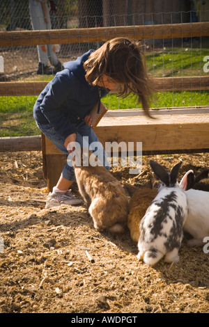 five year old girl feeding rabbits Stock Photo