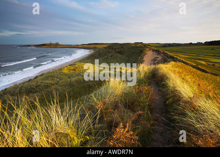 Sunlight over the sand dunes at Dunstanburgh with the castle in the background, Northumberland Stock Photo