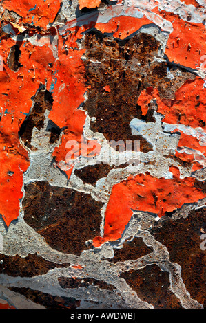 Orange & White Coloured Paint , Peeling Off A Rusted Metal Surface. Stock Photo