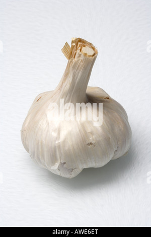 Garlic bulb Stock Photo