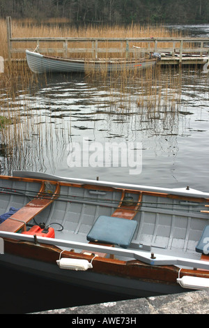 Small boats moored among reeds and rushes on Lough Corrib near Ashford Castle, Ireland Stock Photo