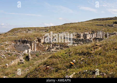 Ruins of houses along the valley of Inopos, Delos, Greece Stock Photo