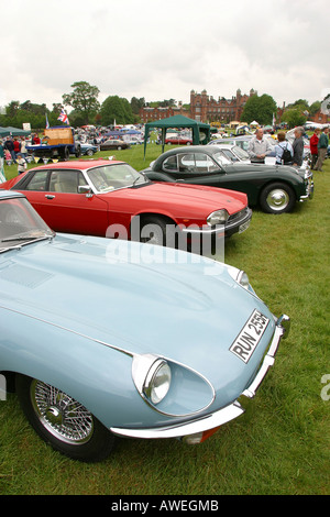 England Cheshire Macclesfield Capesthorne Hall Car Rally classic Jaguar display Stock Photo