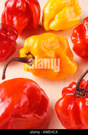 FRESH CHILLI PEPPERS / SCOTCH BONNET CHILLI Stock Photo