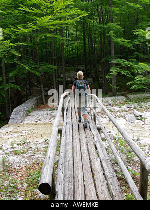 hiker woman hiking on a foothpath over a wooden bridge in a forest Stock Photo
