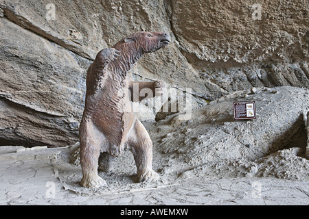 Model of a Mylodon, giant sloth species native to Patagonia, extinct ...