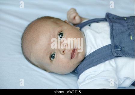 A three month old baby boy england uk Stock Photo