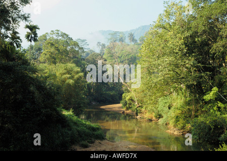 The River Nilwala flowing through the rainforest of the Sinharaja National Park, Sri Lanka Stock Photo