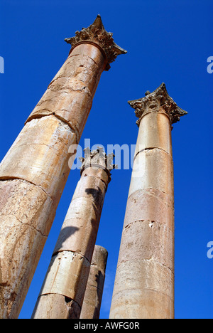 Artemis Temple Corinthian Pillars in the Ancient Roman City of Gerasa ...