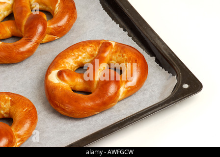 Pretzels on a baking sheet Stock Photo