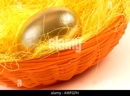 Golden egg in an Easter nest Stock Photo