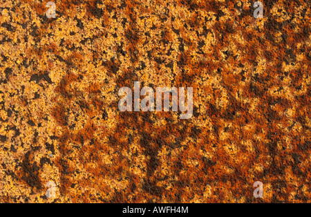 Rust-coloured texture Stock Photo