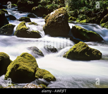 Small waterfall in a mountain stream with moss-covered rocks, movement