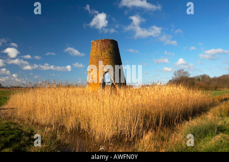 The remains of Womack Water Drainage Mill on marshland maintained by English Nature of the Norfolk Broads Stock Photo