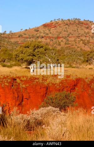 Beautiful red soil and light green Spinifex plants around gorges of Karijini National Park near Tom Price, Western Australia