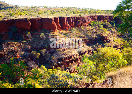 Beautiful red soil and light green Spinifex plants around gorges of Karijini National Park near Tom Price, Western Australia