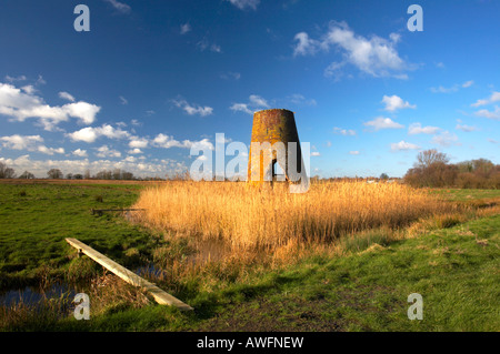 The remains of Womack Water Drainage Mill on marshland maintained by English Nature of the Norfolk Broads Stock Photo