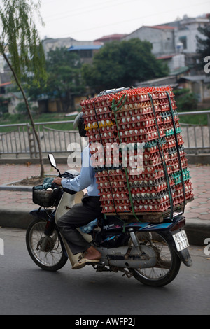 Transport of eggs with moped, Hanoi, Vietnam, Asia Stock Photo